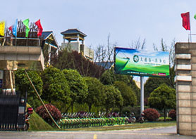 捷報頻傳：湘豐茶業集團榮獲標桿龍頭企業、長沙市現代農業高科技產業化基地稱號