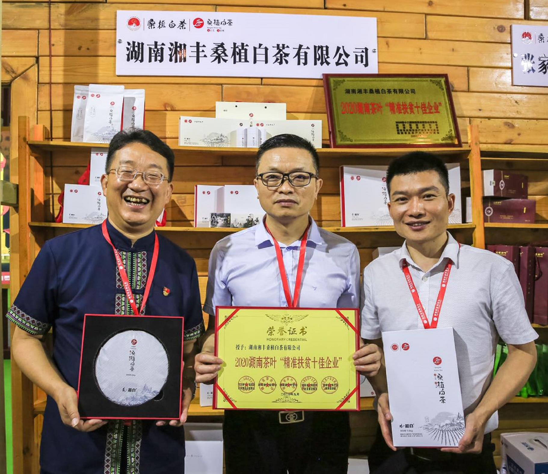 榮耀三連！湘豐桑植白茶再獲金獎