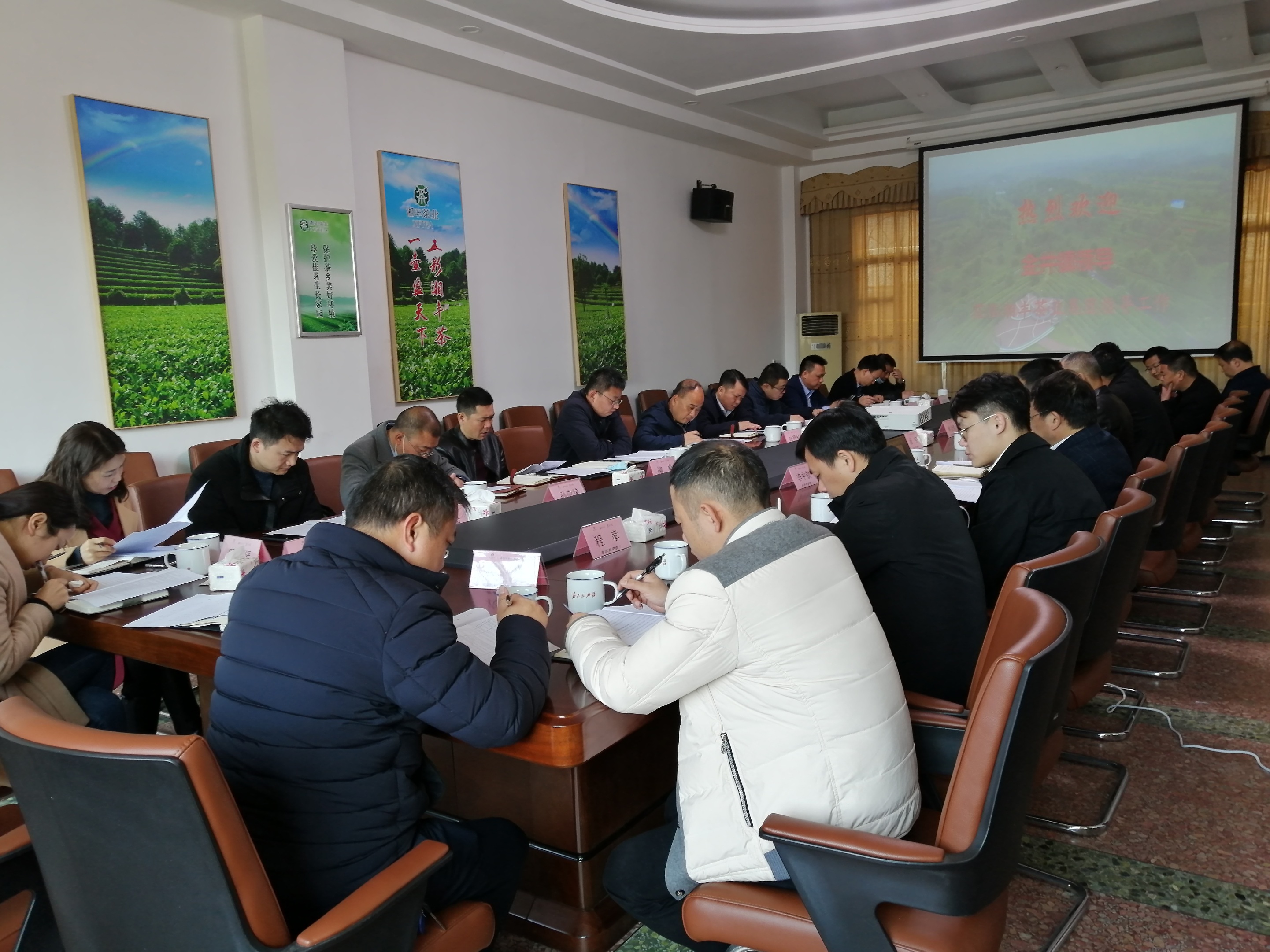 創(chuàng)建金井綠茶小鎮(zhèn)，全面推進(jìn)鄉(xiāng)村振興