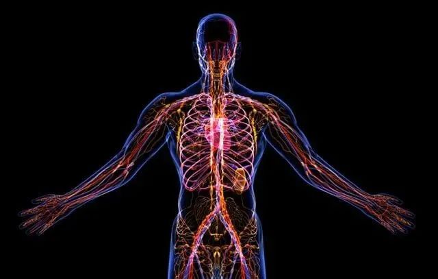 復旦大學重磅突破：茶是打通人體經絡最有效的食品