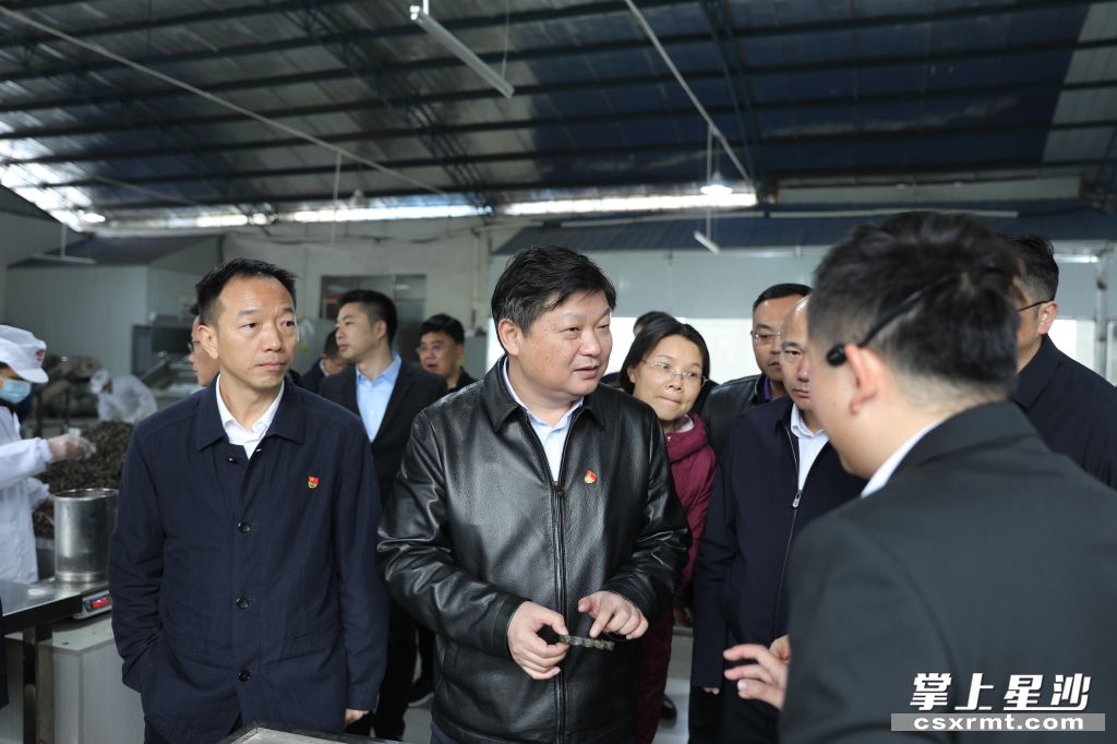 付旭明在湘豐桑植白茶洪家關(guān)工廠調(diào)研產(chǎn)業(yè)發(fā)展情況。.jpg