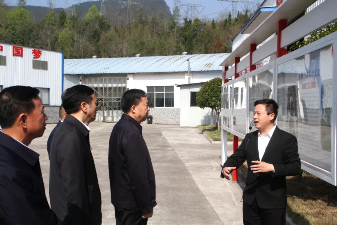 省政協(xié)黨組書記、主席毛萬春調(diào)研湖南湘豐桑植白茶有限公司