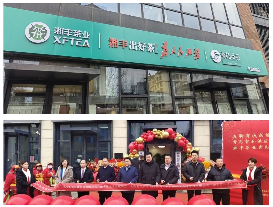 青島旗艦店盛大開業(yè)！湘豐茶業(yè)集團(tuán)全國布局再下一城