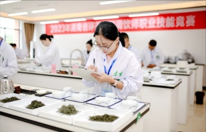 時光長廊?勞動者風采 | 謝嬌枚：科班出身深耕茶園，以“技”賦能產業發展