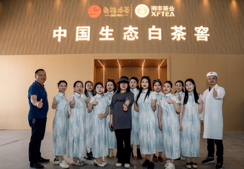 助力品牌騰飛 | 湘豐桑植白茶品宣與營銷培訓(xùn)活動如期舉行