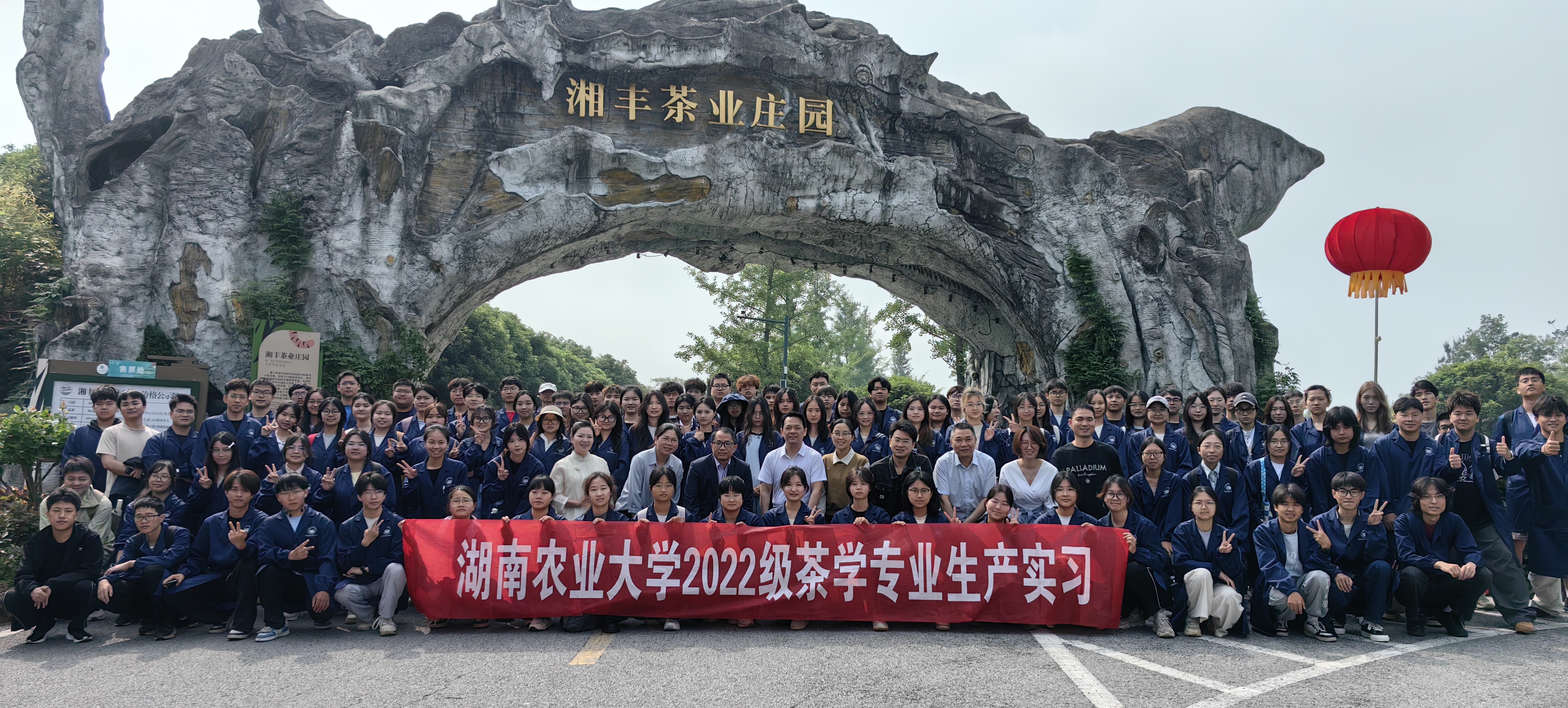 湖南農(nóng)大茶學(xué)師生赴湘豐茶業(yè)集團開展生產(chǎn)實習(xí)