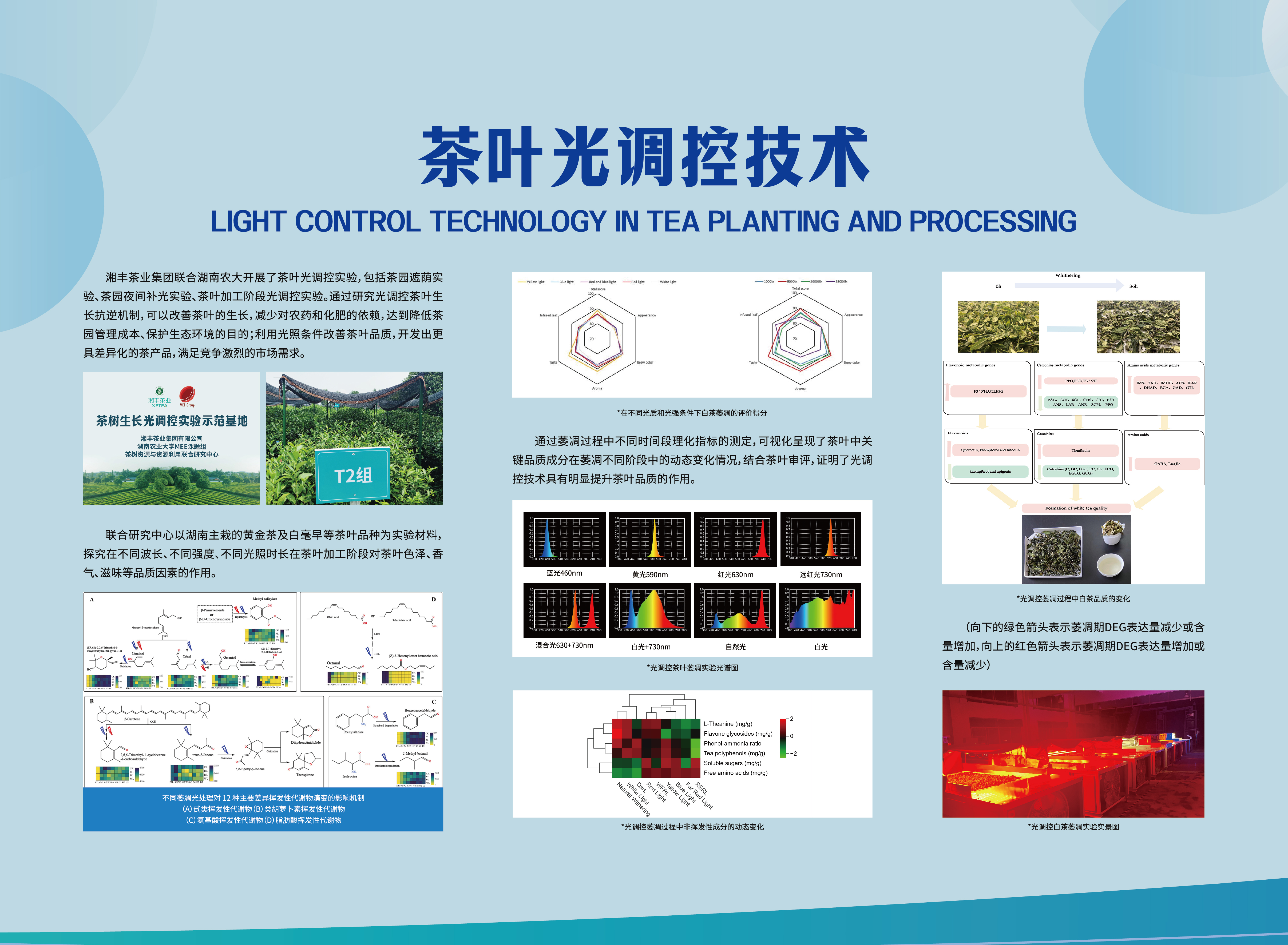 科技湘豐-茶葉光調控技術.jpg