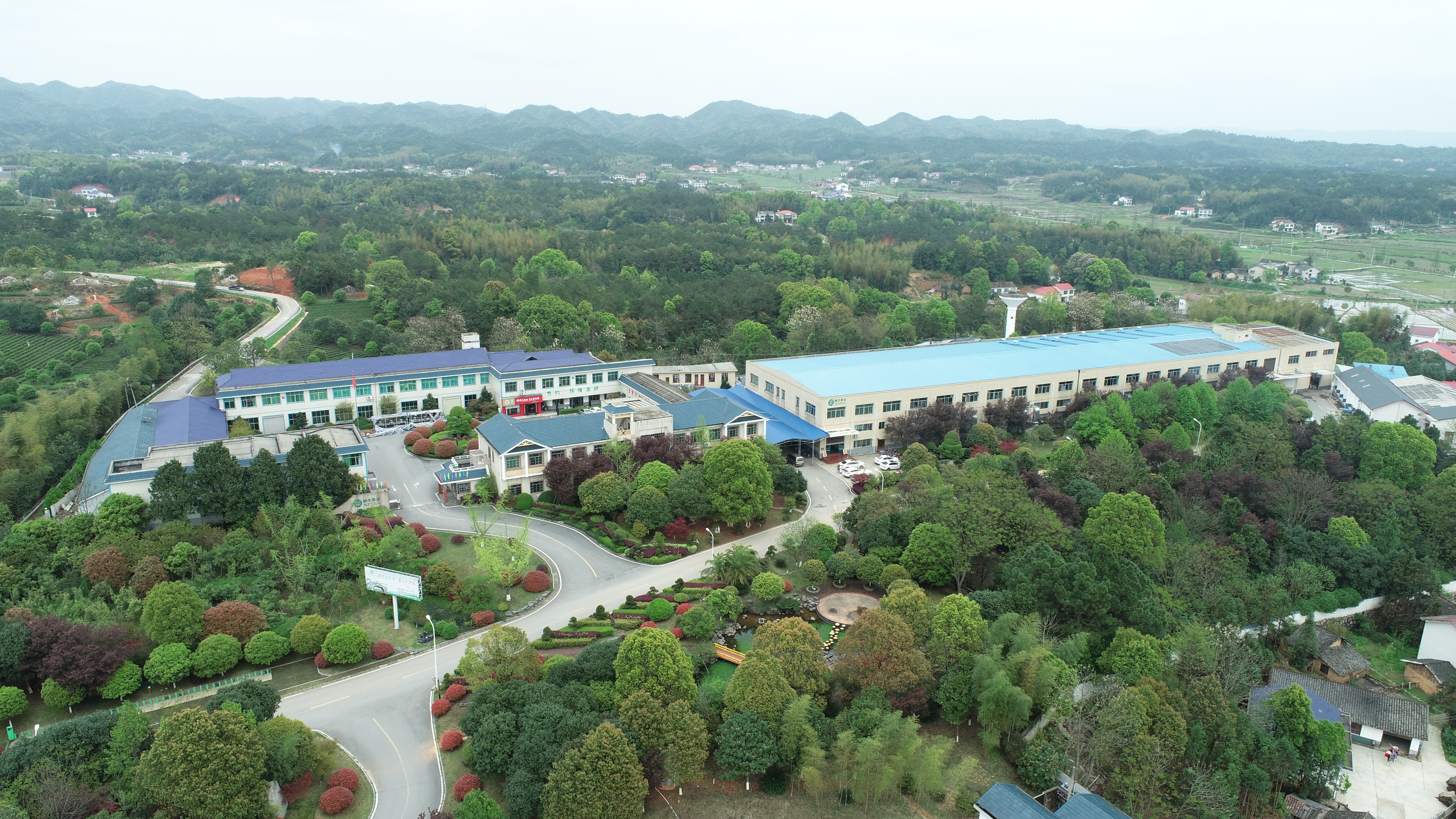 湘豐茶業(yè)集團(tuán)-花園式廠區(qū).JPG